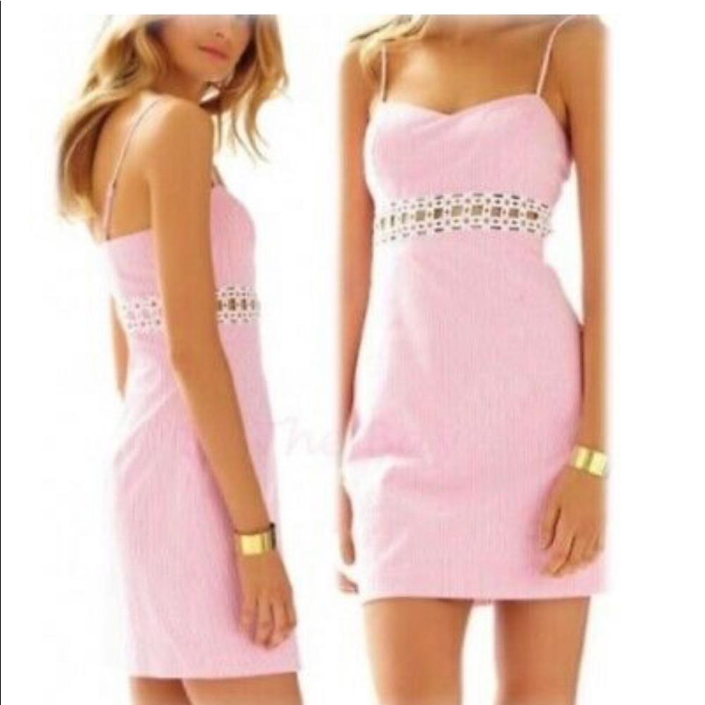 lilly pulitzer seersucker daisy dress